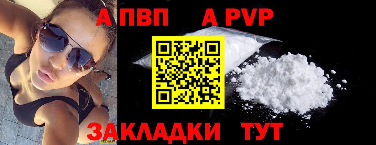 A-PVP СК Мурманск