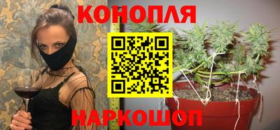 тгк Тула