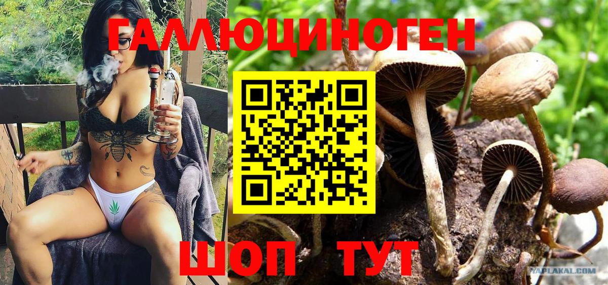 Галлюциногенные грибы GOLDEN TEACHER  Галлюциногенные грибы Cubensis  Мурманск  Вход с VPN 
