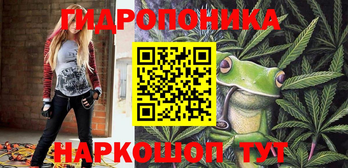 Бошки марихуана THC 21%  Вход с VPN  Марихуана Amnesia  Мурманск 